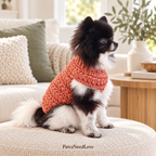 AI-styled product photo of dog wearing terracotta Wheat Stitch crochet sweater
